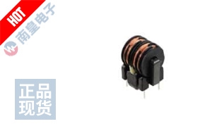 SS21V-100098 DƬ