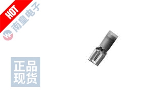 P1015-13 DƬ