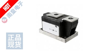 LS411060 DƬ