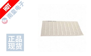 1SNK168031R0000 DƬ