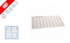 1SNK168181R0000 DƬ