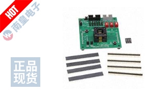 MSP-TS430PT48 DƬ
