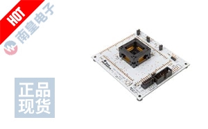 MSP-TS430PZ100D DƬ