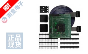 MSP-TS430PZ5X100 DƬ