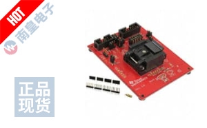 MSP-TS430RGE24A DƬ