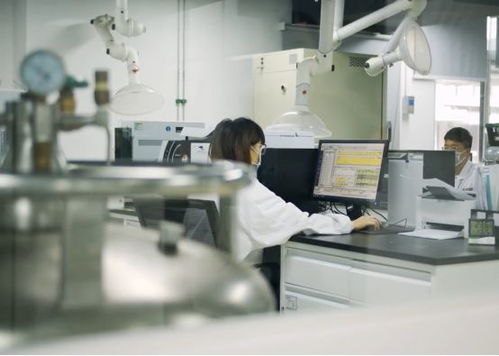 生產活力有序恢復，儀器儀表綜合服務與物聯網應用雙輪驅動助力企業提質增效